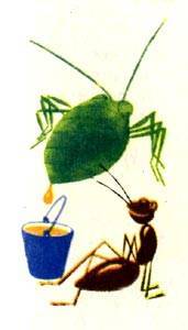 Муравьи кочевники– реальная жизнь тропических хищников. «белые муравьи обыкновенный общественный ткач